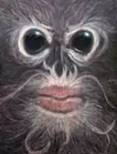Catfish Monkey 
