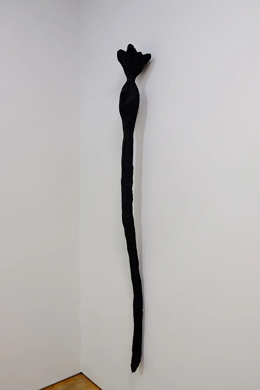 華炎錫 by Masato Akai