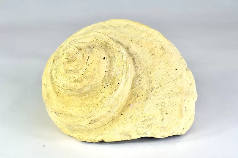 粘土のアート作品 | 現代アートの販売・通販 | ArtSticker（アートス