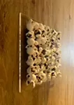 Popcorn square