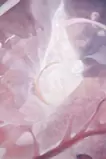 融 - 夕陽が燃え盛る頃 #02