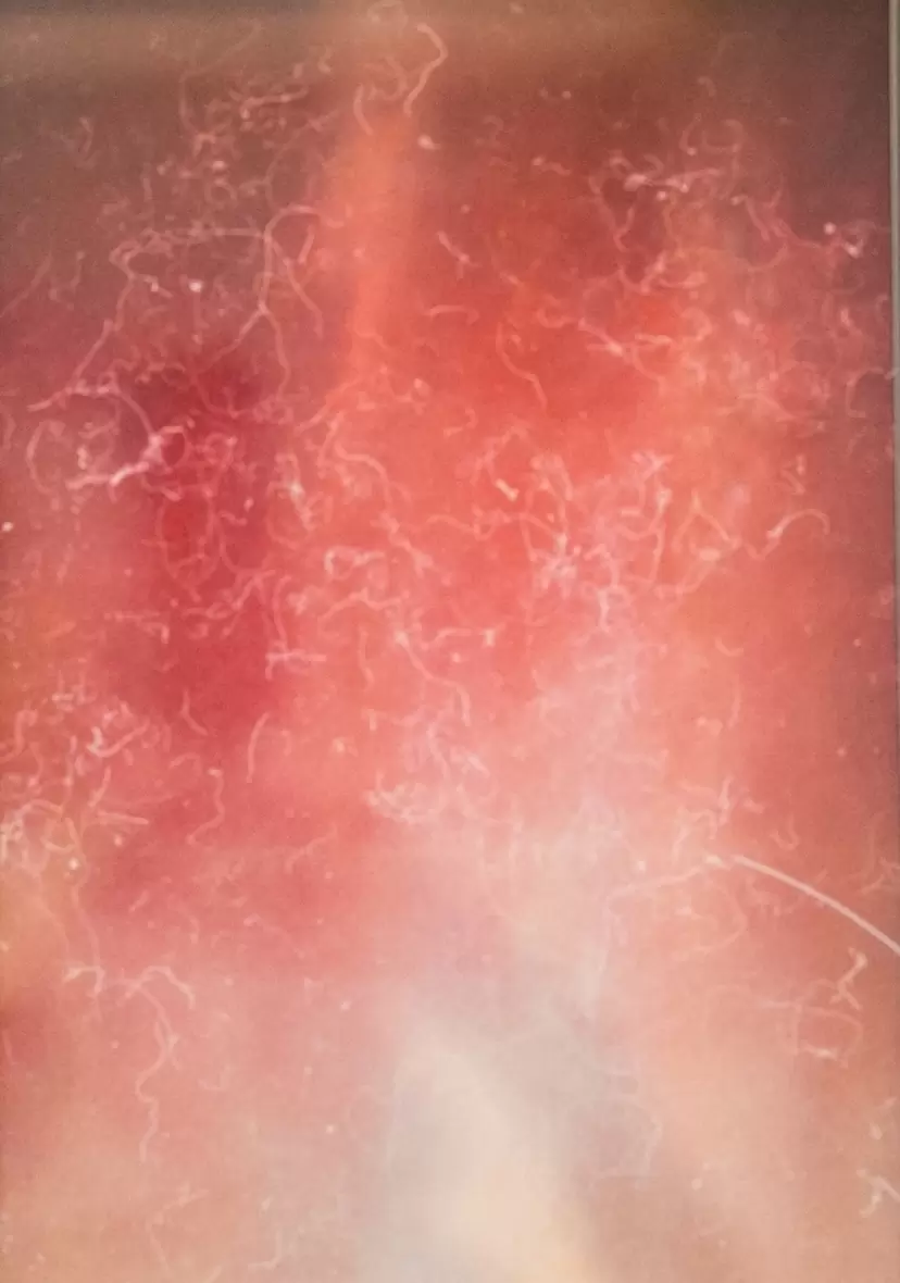Feu les cieux / Skies on fire by Marie GOEHNER-DAVID (マリー・ゲネル=ダヴィッド )