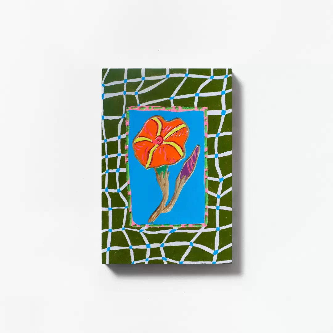4EYES 2BRAINS BOX｜MORNING GLORY