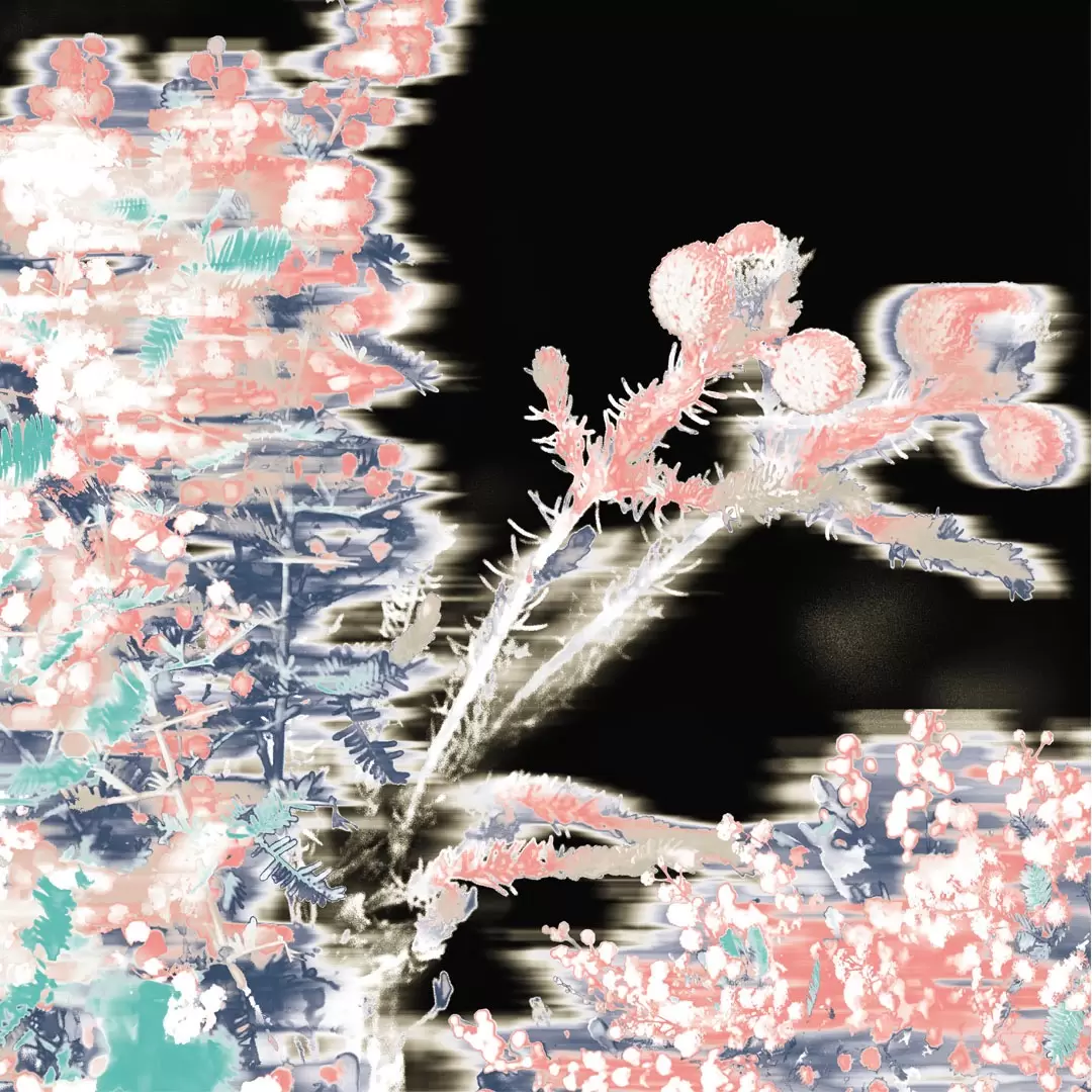 Mimosa(2025)