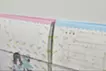 Lovely ♡ Mami-chan Marriage & Divorce Registration Set