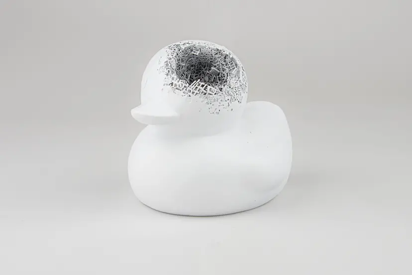 EXISTENCE _ Duck by 足立篤史