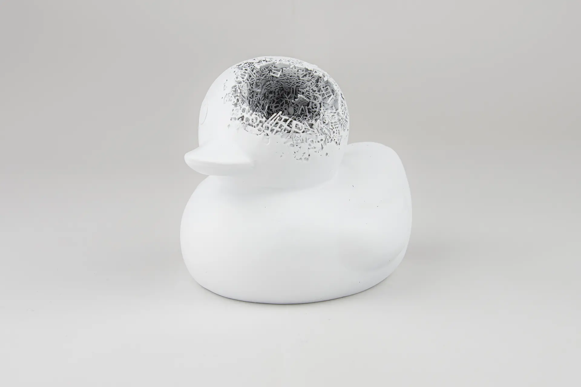 EXISTENCE _ Duck