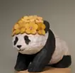 花咲けるパンダ