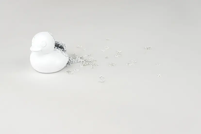 EXISTENCE _ Duck by 足立篤史