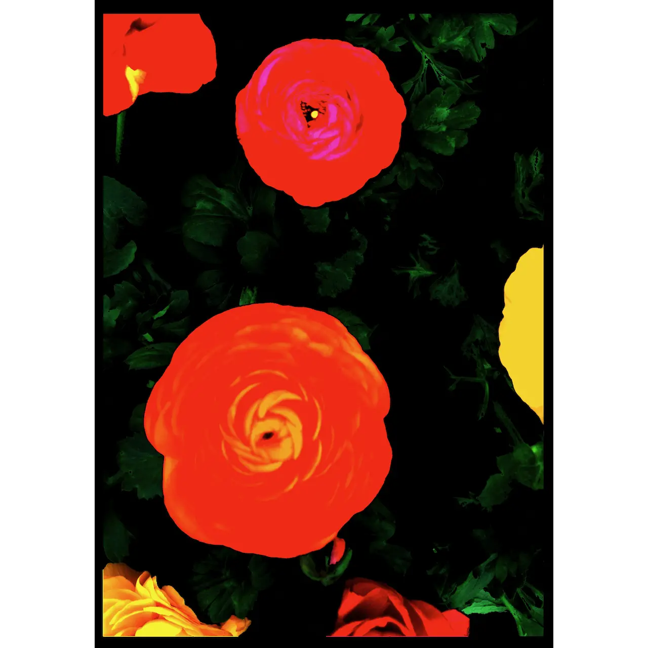 ウォーホルさんとこの花