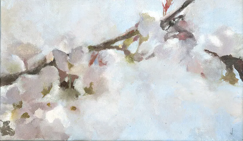 春霞 by 権守ひかる