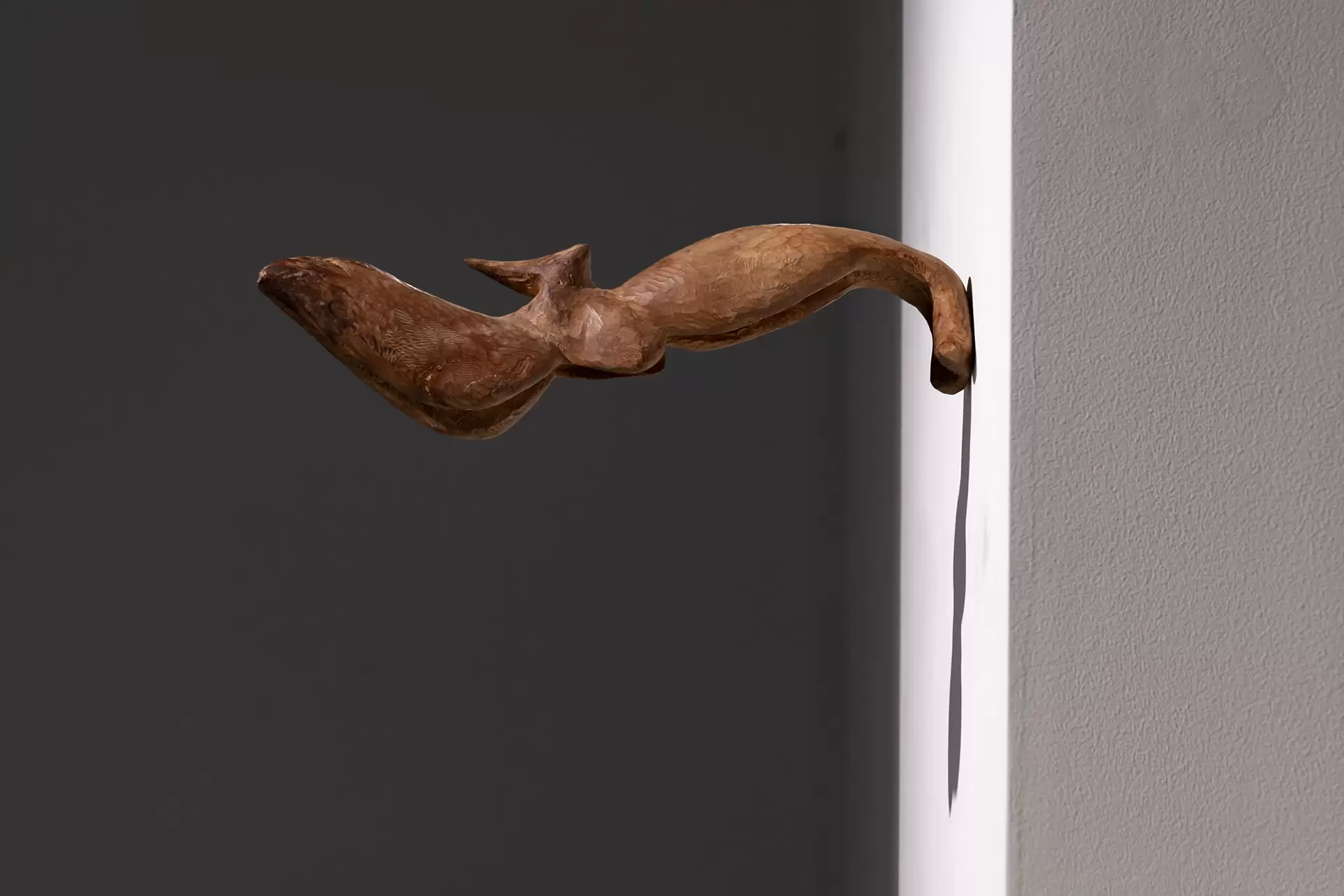 Un oiseau, seul, au loin