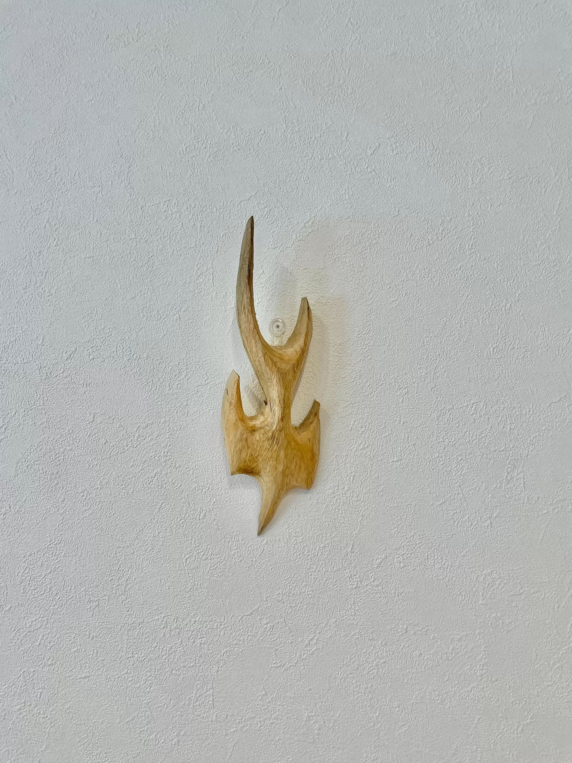 L’ombre du déplacement # 2