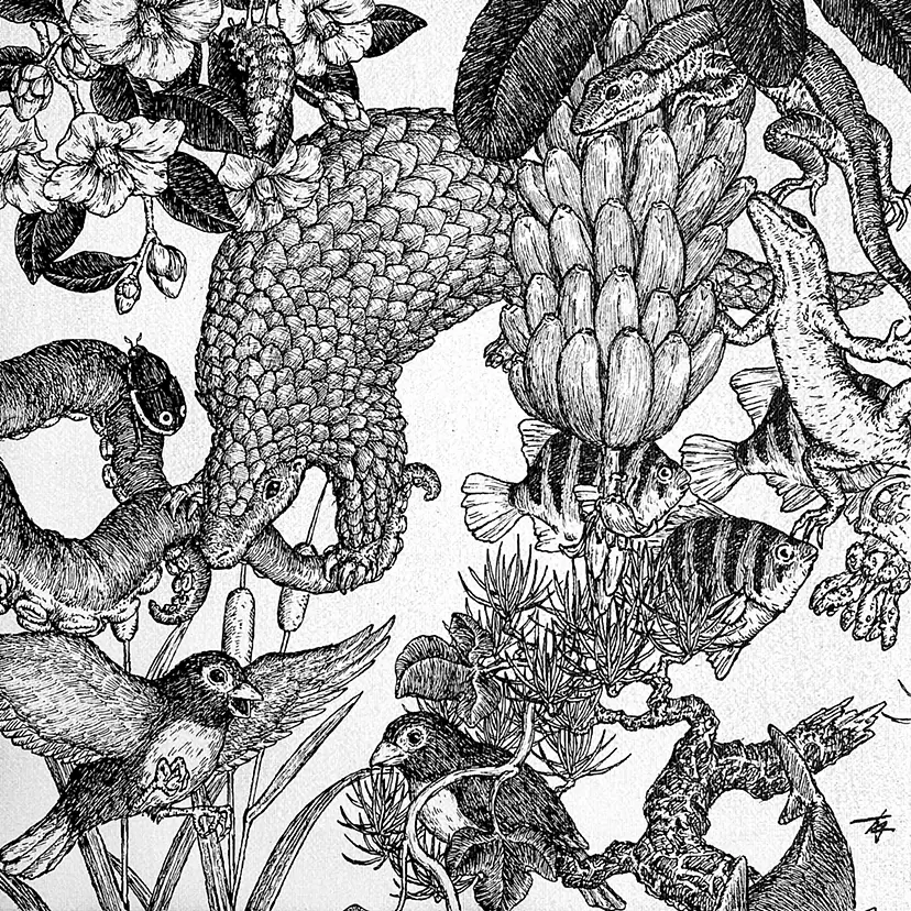 動物のアート作品 | 現代アートの販売・通販 | ArtSticker（アートス