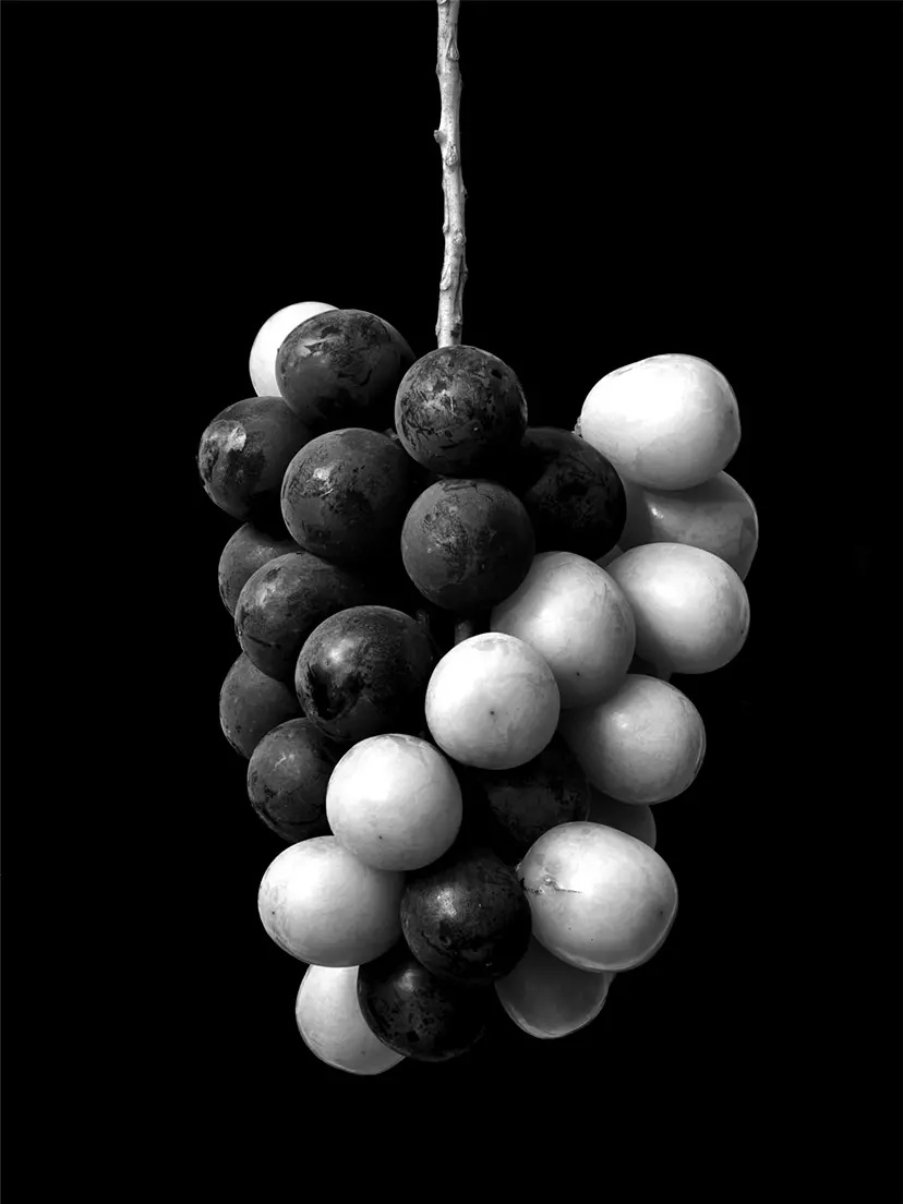 Black & White Grapes by Masumi Shiohara