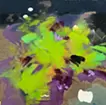 地をつかむ