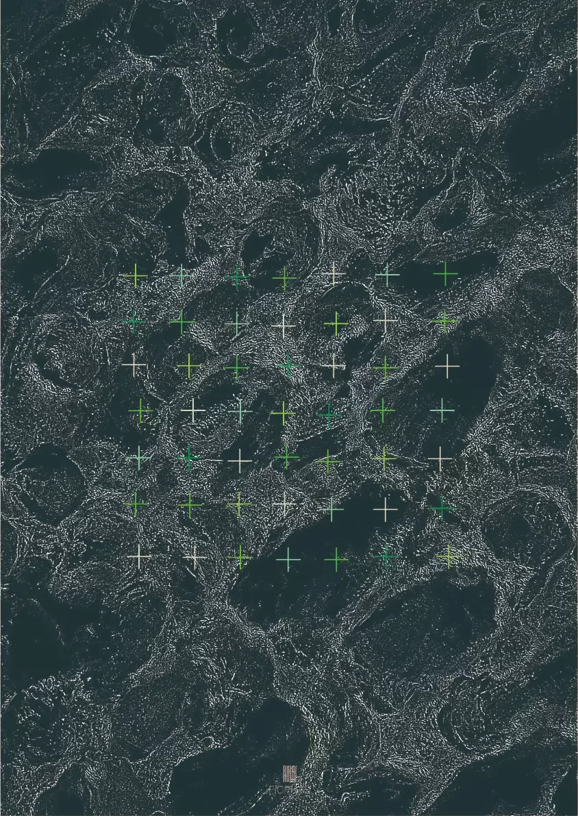 bardo 002