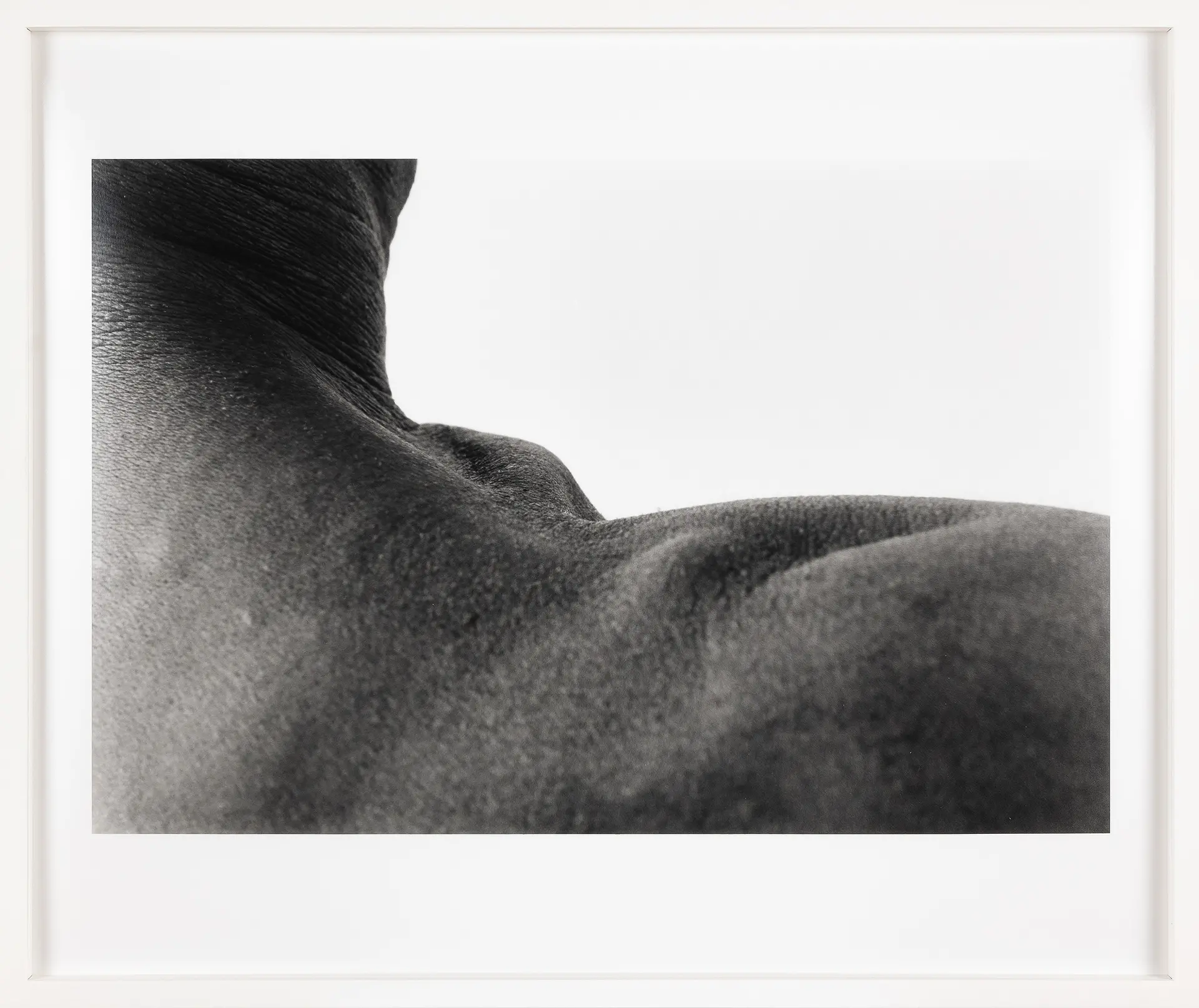 皮膚 / skin scape #020