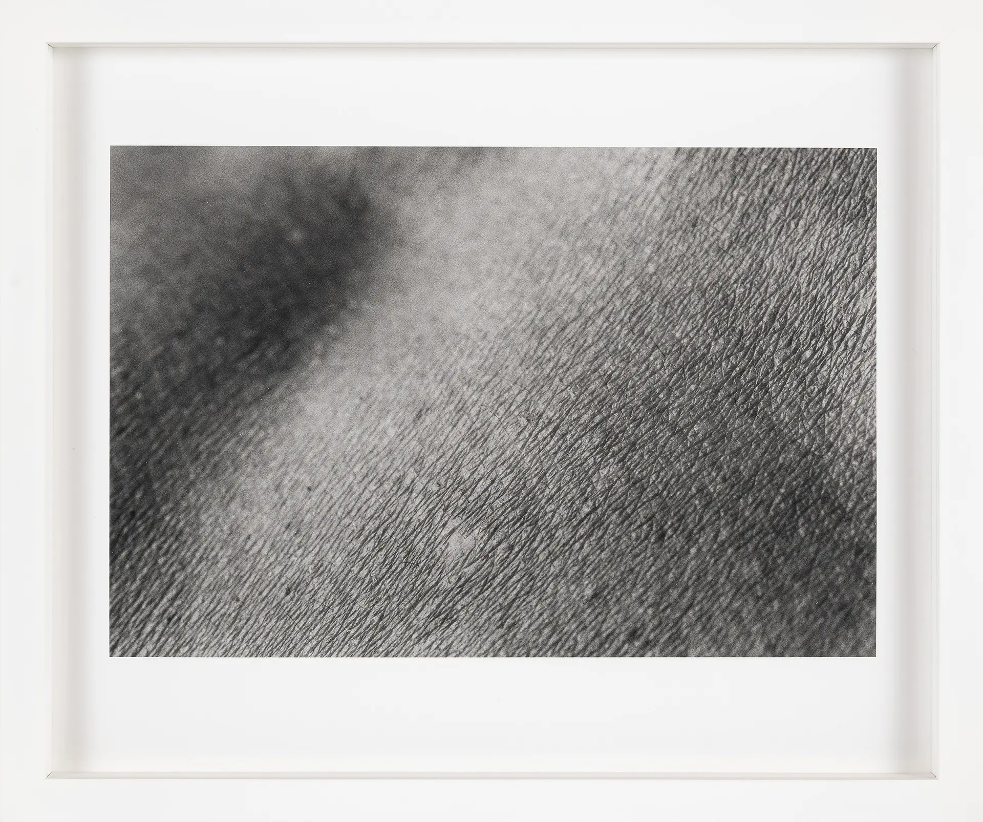皮膚 / skin scape #015