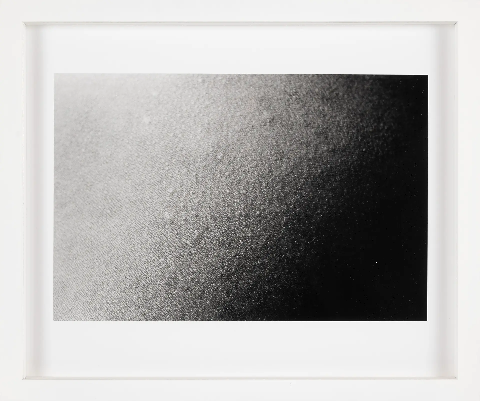 皮膚 / skin scape #016