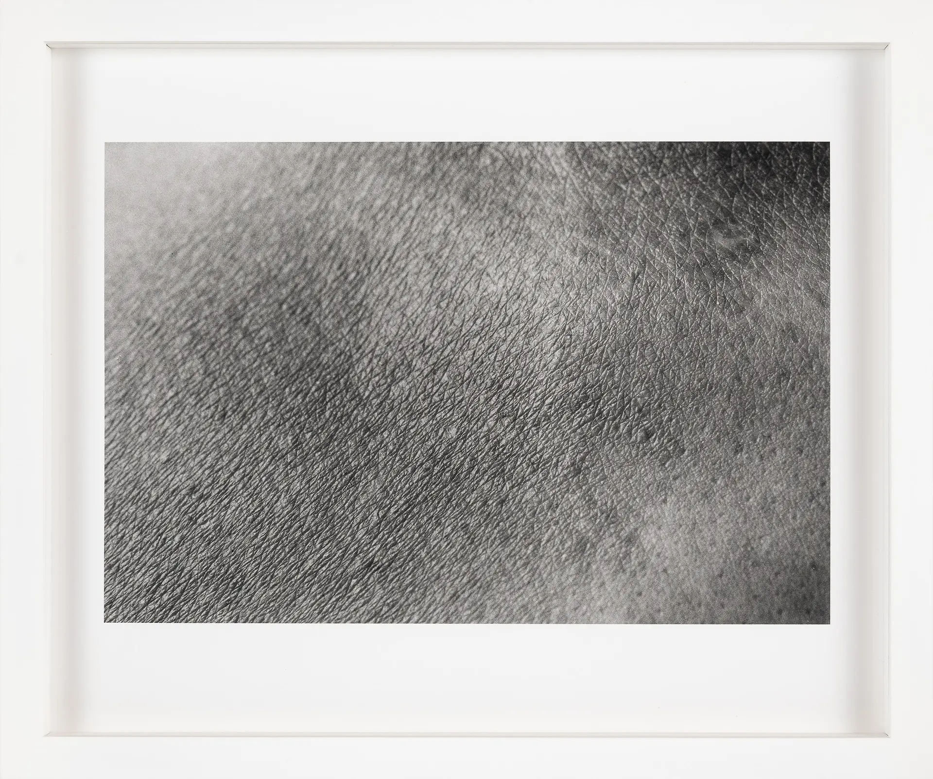 皮膚 / skin scape #017