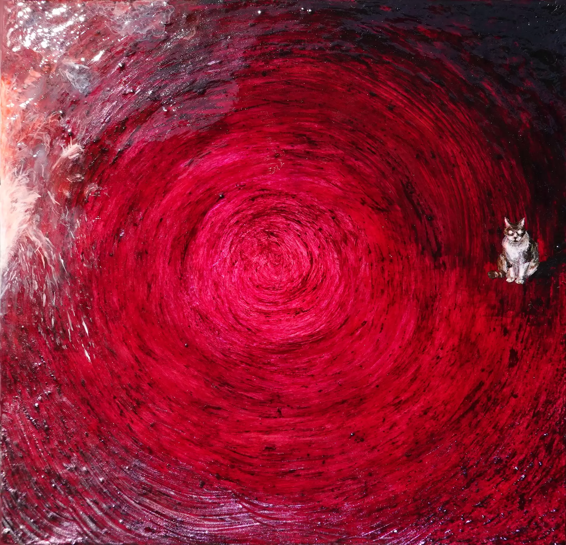 Firework and Cat