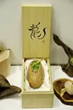 Dragon’s Egg