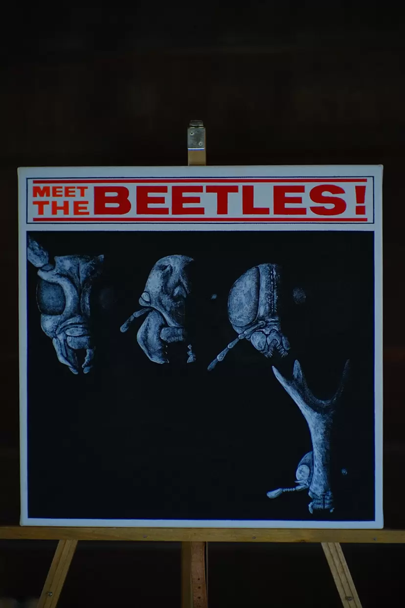 BEETLES by Hiromu Moulinette
