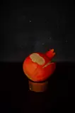 SAIKASAMA~pomegranate