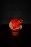 SAIKASAMA~pomegranate