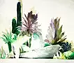 Biotop 11