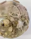 Planet: Dead Bouquet 