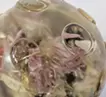 Planet: Dead Bouquet 