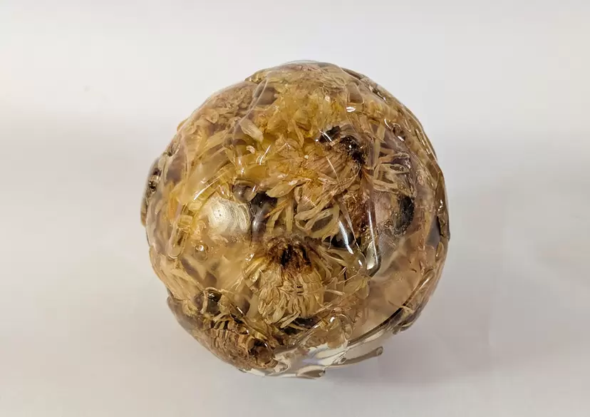 Planet -菊の花- by TAKU NISHIMURA