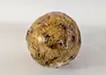 Planet -Chrysanthemum-