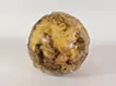 Planet -Chrysanthemum-