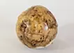 Planet -Chrysanthemum-