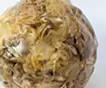 Planet -Chrysanthemum-