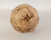 Planet - chrysanthemum flower-2