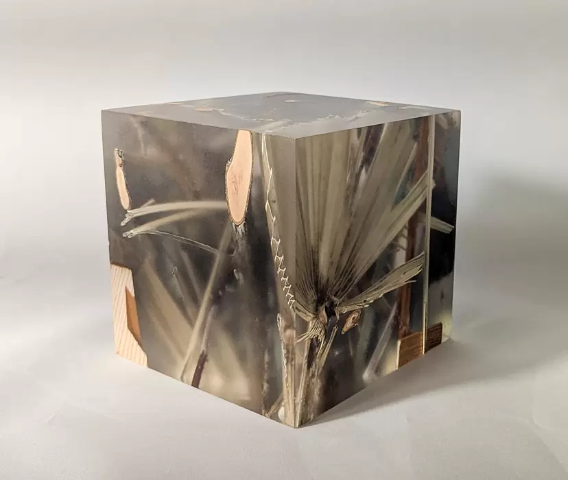 Cube #2 by TAKU NISHIMURA