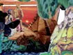 scene_02
