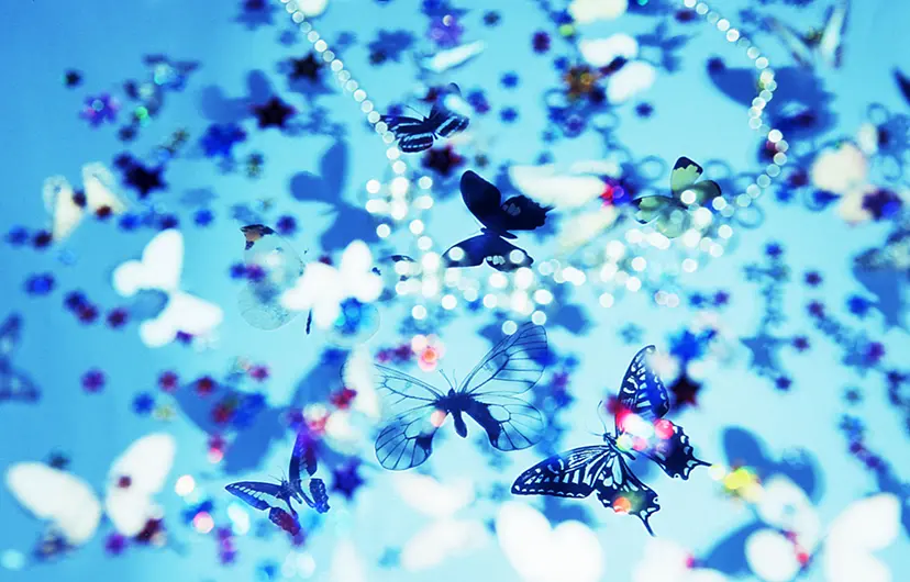 Blue Butterfly by 三井 彩紗 Ayasa Mitsui