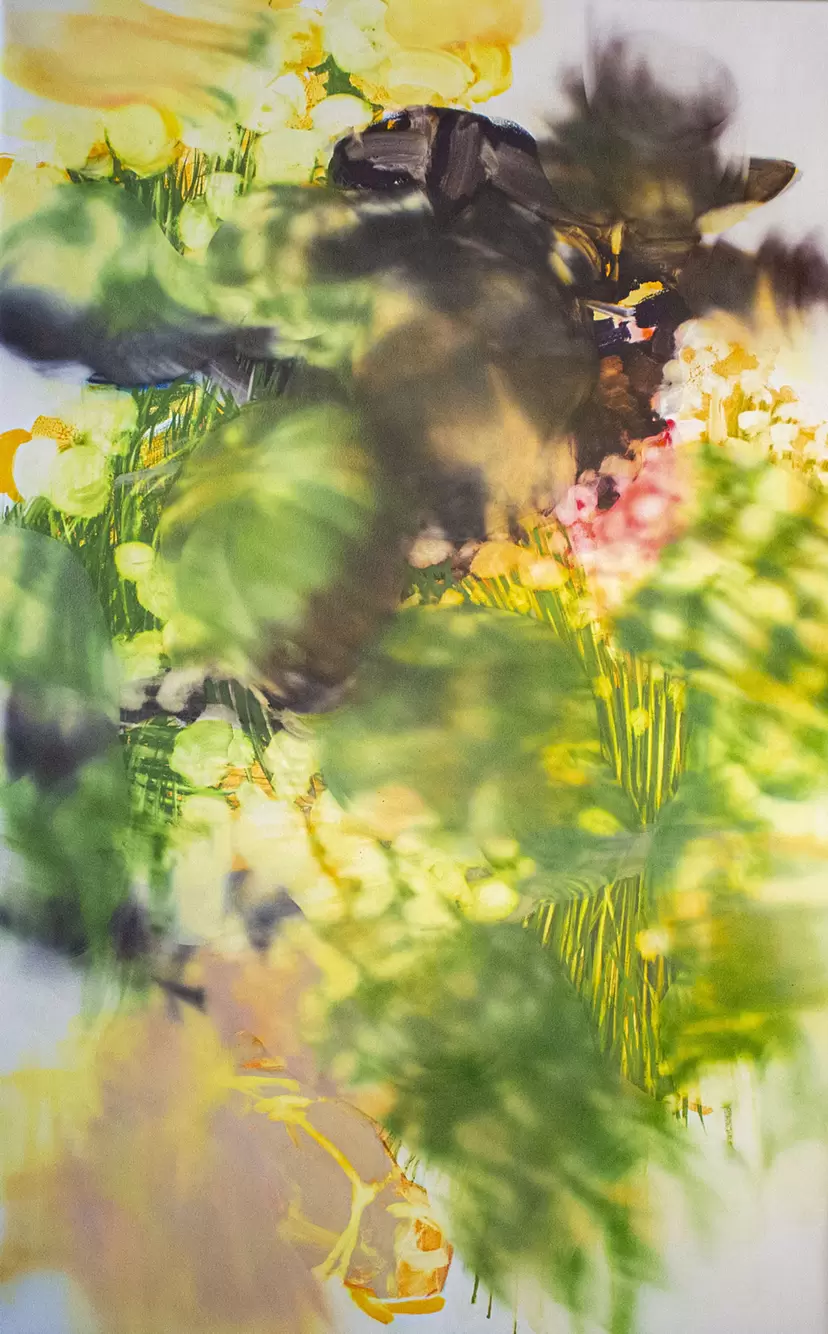 現代アート 絵画の購入・販売・通販サイト | ArtSticker（アートス