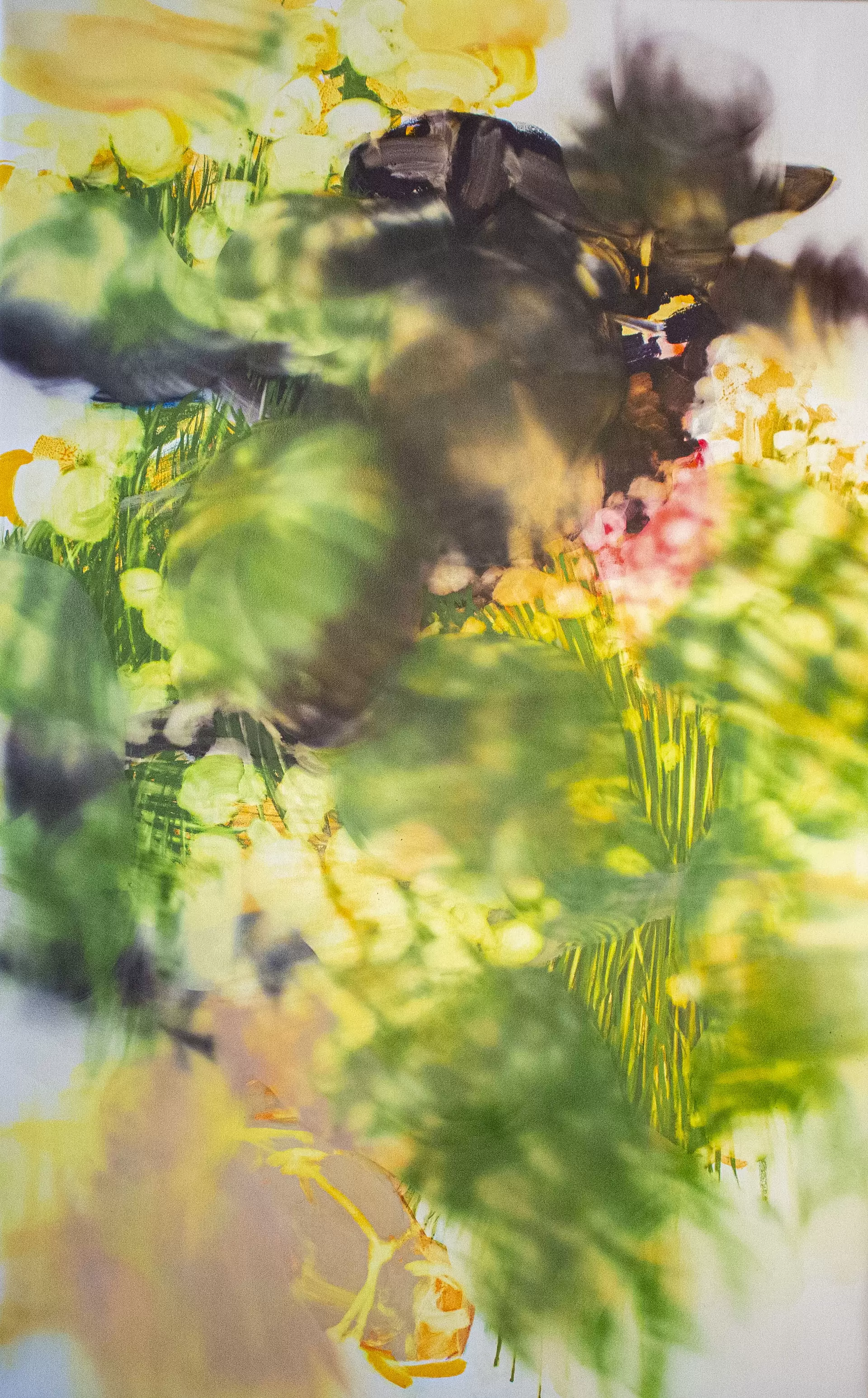 nonphysical reality #2026-2