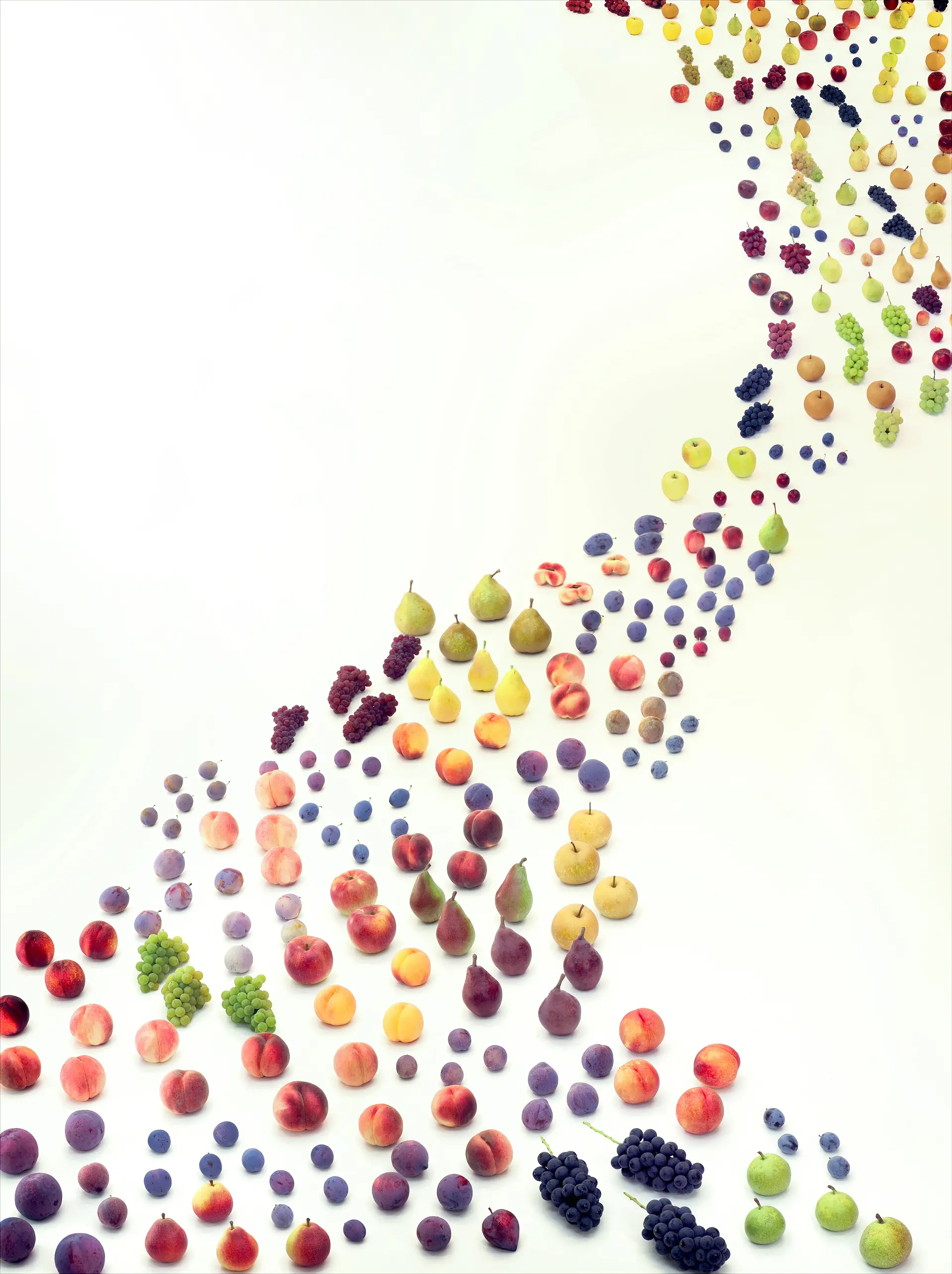 Fruits river