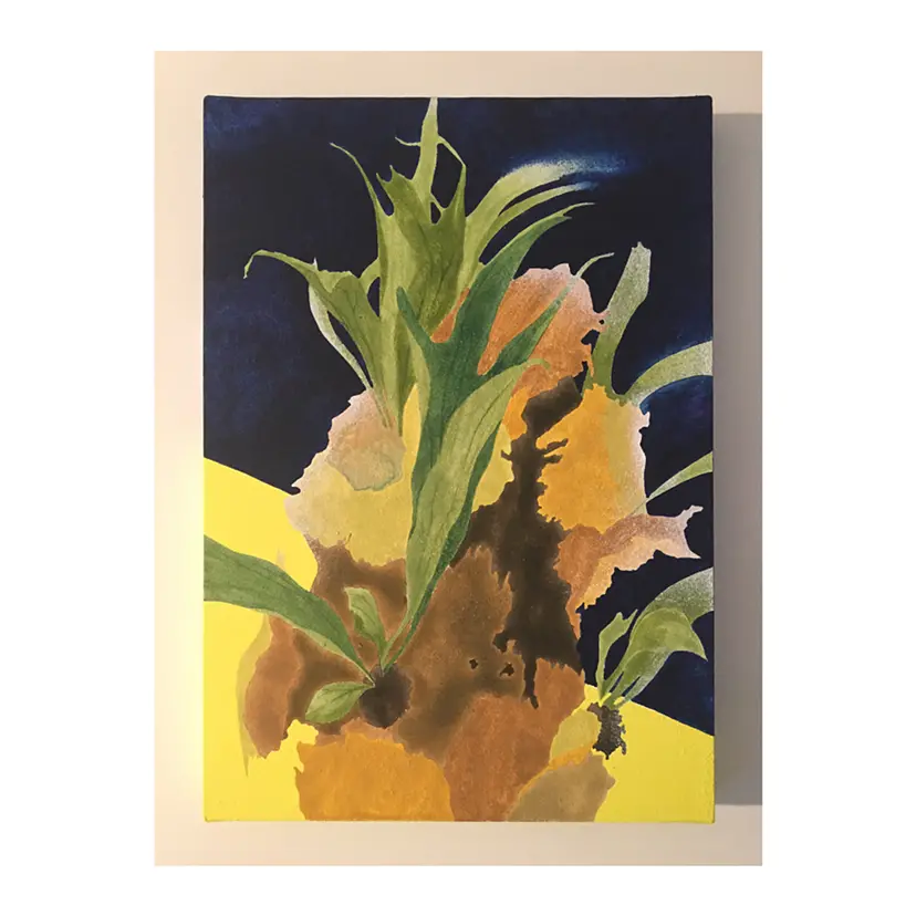 コウモリラン | Staghorn fern by おれちょ本多