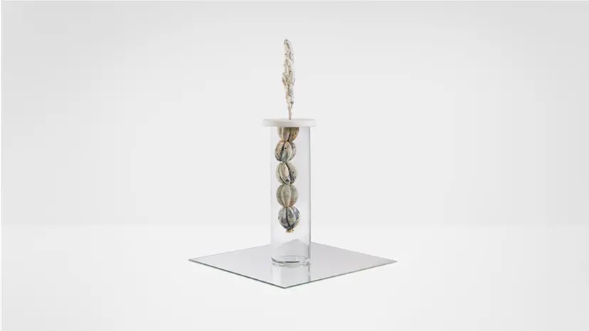 Timescale  by Tsai,Ying-Chen