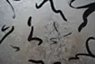 ku