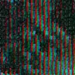 3600 Colors No.33