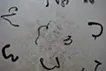 ru